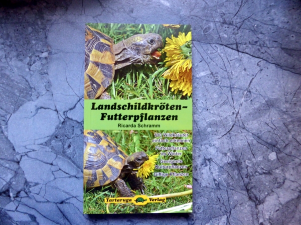 Landschildkröten-Futterpflanzen Ricarda Schramm 3. Auflage